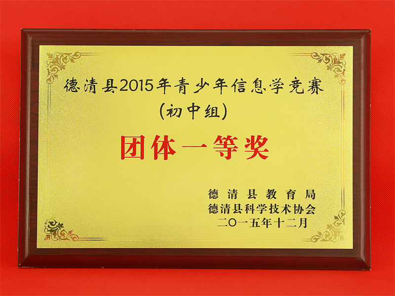 10.2-132(2015.12县2015年青少年信息学竞赛（初中组)团体一等奖).jpg