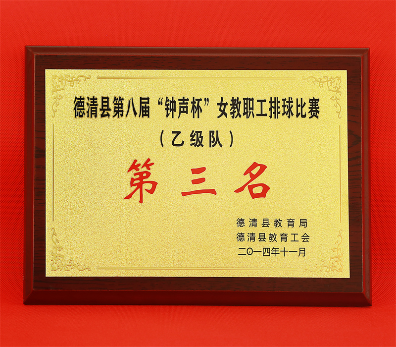 （少奖牌）10.2-122(2014.11县第八届“钟声杯”女教职工排球比赛（乙级队）第三名).jpg