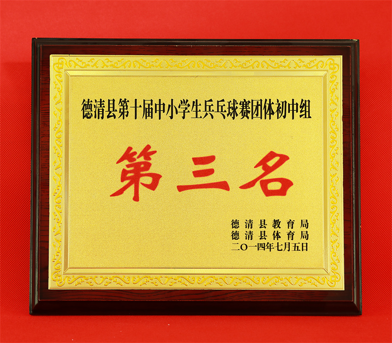 10.2-118(2014.7县第十届中小学生乒乓球赛团体初中组第三名).jpg
