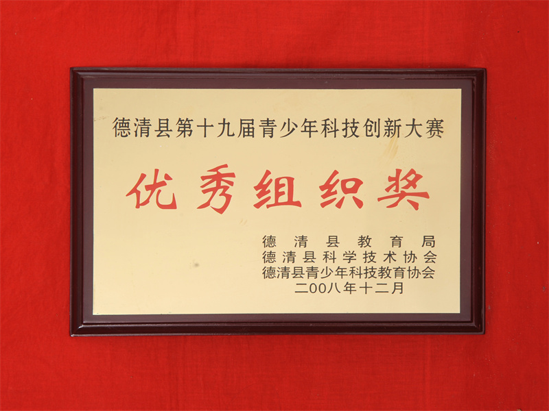 10.2-079（2008.12县第十九届青少年科技创新大赛优秀组织奖）.jpg