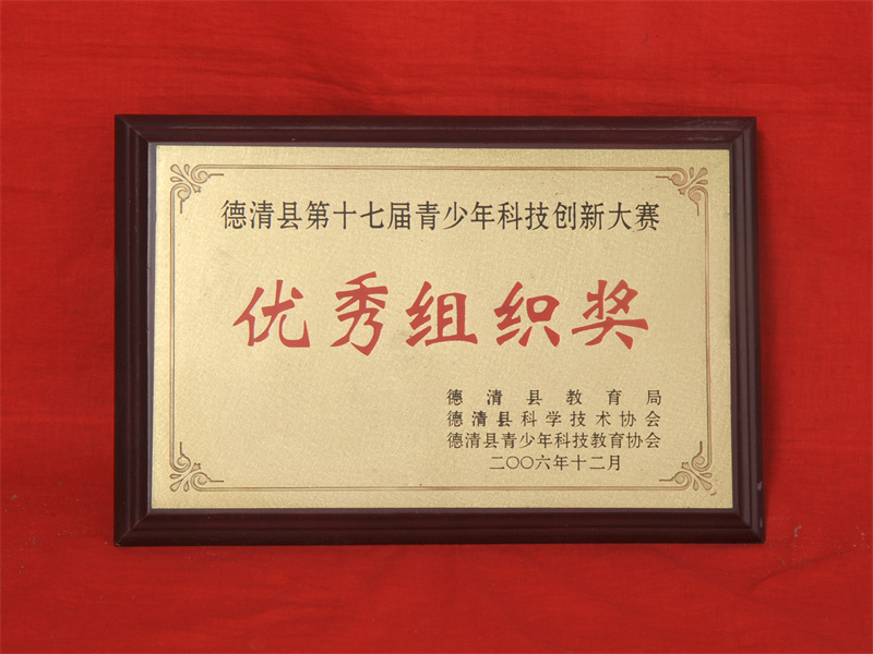 10.2-064（2006.12县第十七届青少年科技创新大赛优秀组织奖）.jpg